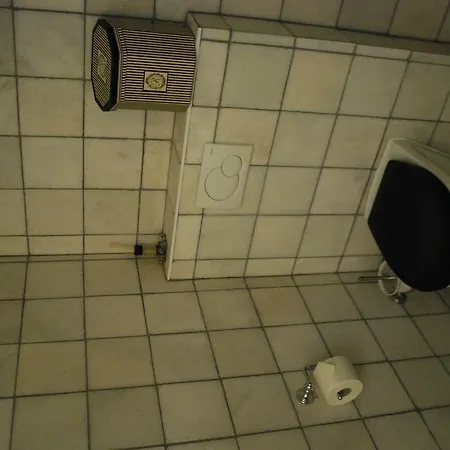 Sautille * זנדוורט