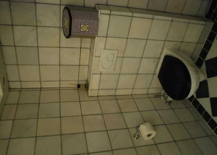 Sautille * Zandvoort