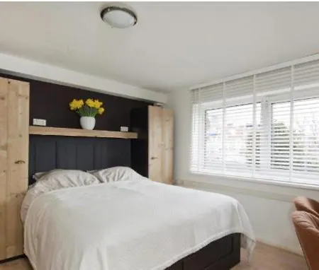 Sautille * Zandvoort